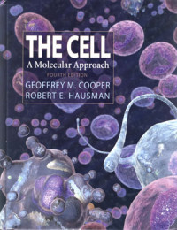 Image of The Cell: A molecular approach