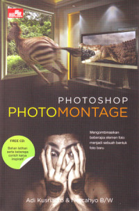 Image of Photoshop Photomontage