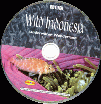 Image of Wild Indonesia, Episode Dua: Underwater Wonderland