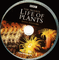 Image of The Private Life of Plants, Episode Lima: Living Together