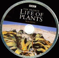 Image of The Private Life of Plants, Episode Enam: Surviving
