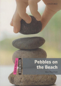 Image of Pebbles on the Beach