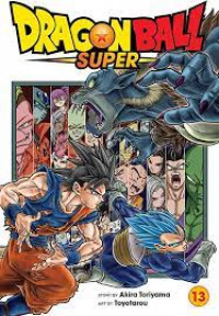 Image of Dragon ball super 13